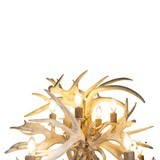 Whitetail Fireball Chandelier - 3 of 5