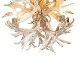 Whitetail Fireball Chandelier - 4 of 5