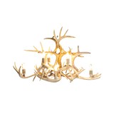 Whitetail Royale Isle Chandelier - 1 of 3