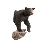 Black Bear Shoulder Mount - 3 of 6