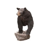 Black Bear Shoulder Mount - 2 of 6
