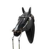 Kelly Bridle - 1 of 5