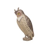 Owl Decoy