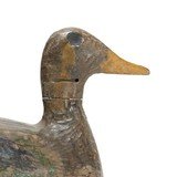 Greenwing Teal Decoy - 3 of 5