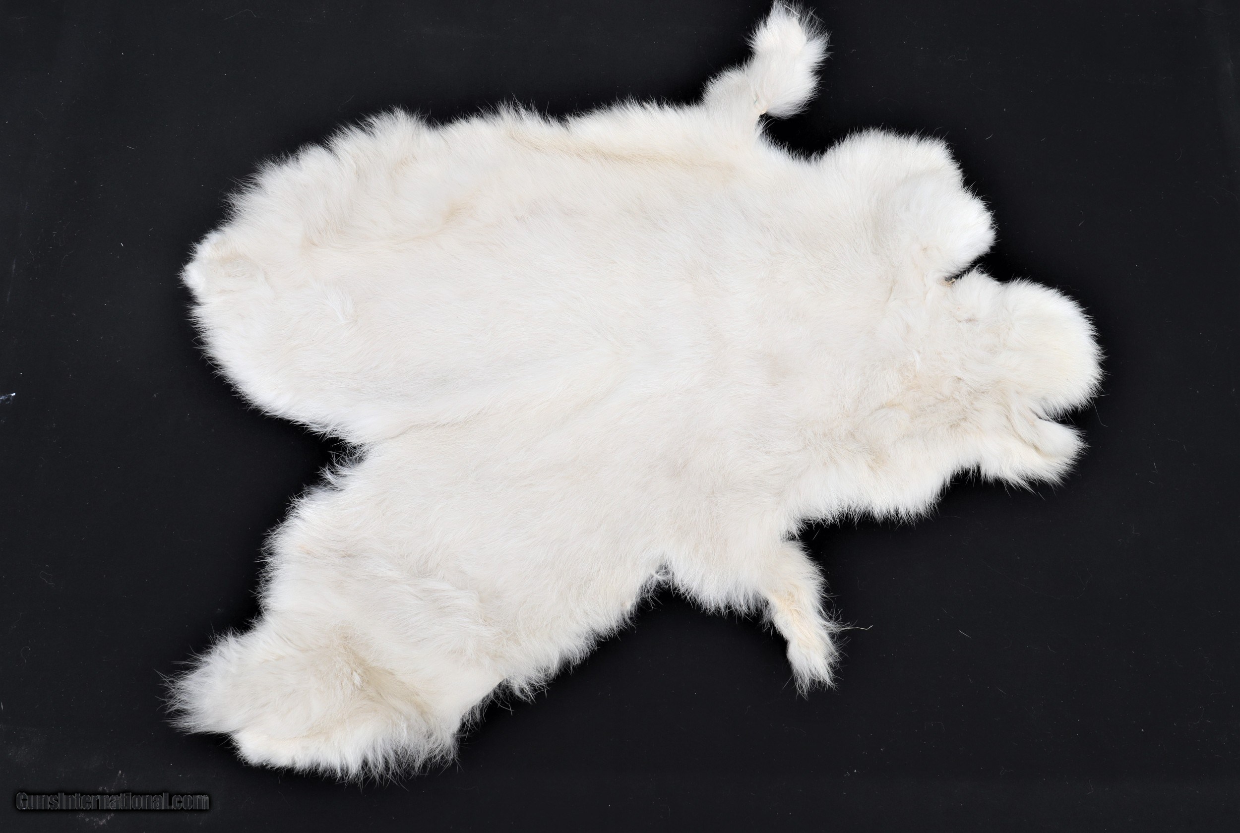 Rabbit Pelt