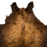 Buffalo Hide Rug - 2 of 5