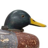 Mallard Drake Decoy - 3 of 5