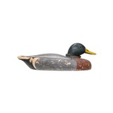 Mallard Drake Decoy - 2 of 5