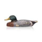 Mallard Drake Decoy - 1 of 5