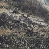 Chukars by David Hagerbaumer - 4 of 5