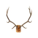 North Idaho 6 x 6 Elk Rack