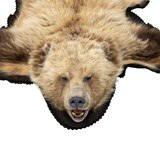 Blonde Grizzly Rug - 2 of 5