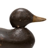 Mason Hen Mallard Decot - 3 of 5