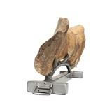 Cretaceous Period Hedrosaur Bone - 5 of 6