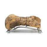 Cretaceous Period Hedrosaur Bone - 1 of 6