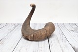 Single Genuine Dall Ram Horn - 2 of 6