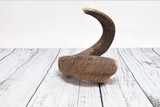 Single Genuine Dall Ram Horn - 1 of 6