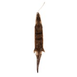 Extra Large Otter Pelt - 1 of 5