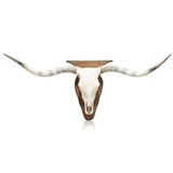 longhorn skull mount