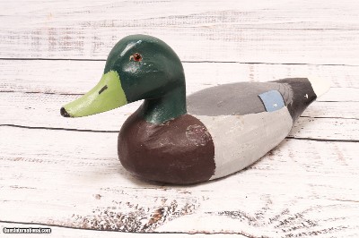 Green Head Duck Decoy