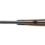 Custom AHR BRNO ZKK 601 .243 Winchester - 11 of 13