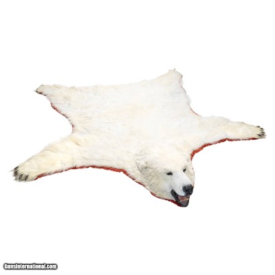 Polar Bear Rug