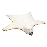 Polar Bear Rug - 1 of 6