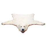 Polar Bear Rug - 3 of 6