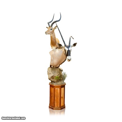 African Gemsbok and Impala Mount