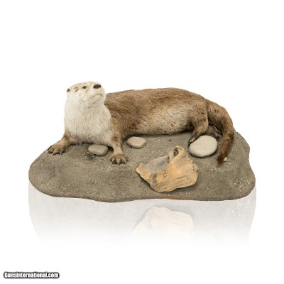 River Otter Mount