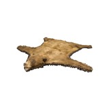 Black Bear Rug - 2 of 6