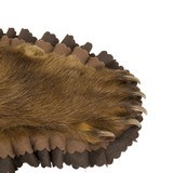 Black Bear Rug - 5 of 6