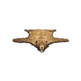 Black Bear Rug - 3 of 6