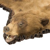 Black Bear Rug - 4 of 6