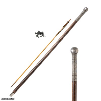 Bow and Arrow System Cane