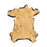 Black Bear Hide - 2 of 6