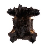 Black Bear Hide