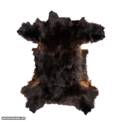 Black Bear Hide