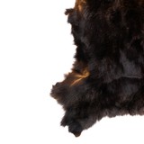 Black Bear Hide - 4 of 6