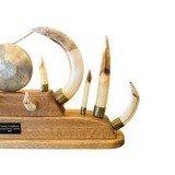 Hippo Tooth Display Dinner Gong - 3 of 5