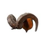 Stone Sheep Horns - 2 of 5