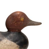 Mason Redhead Decoy - 3 of 5