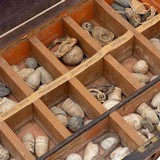 Collection of Civil War Bullets - 6 of 7