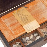 Collection of Civil War Bullets - 5 of 7