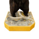 Standing Black Bear Taxidermy Mount - Image 9 of 10