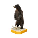 Standing Black Bear Taxidermy Mount - Image 5 of 10
