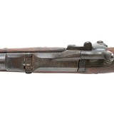 Modified U.S. Model 1884 Springfield Trapdoor Rifle - 11 of 17