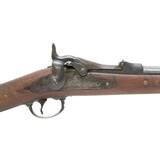 Modified U.S. Model 1884 Springfield Trapdoor Rifle - 5 of 17