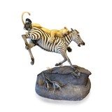 African Lion Attacking Zebra Mount - Image 1 of 8