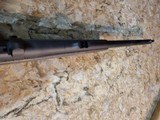 Custom .416 Remington - 5 of 6